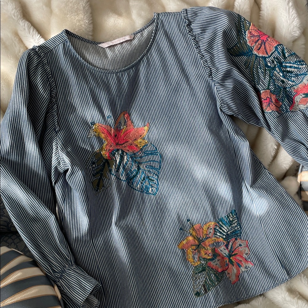 Zara Blue & White Striped Floral Embroidered Blouse